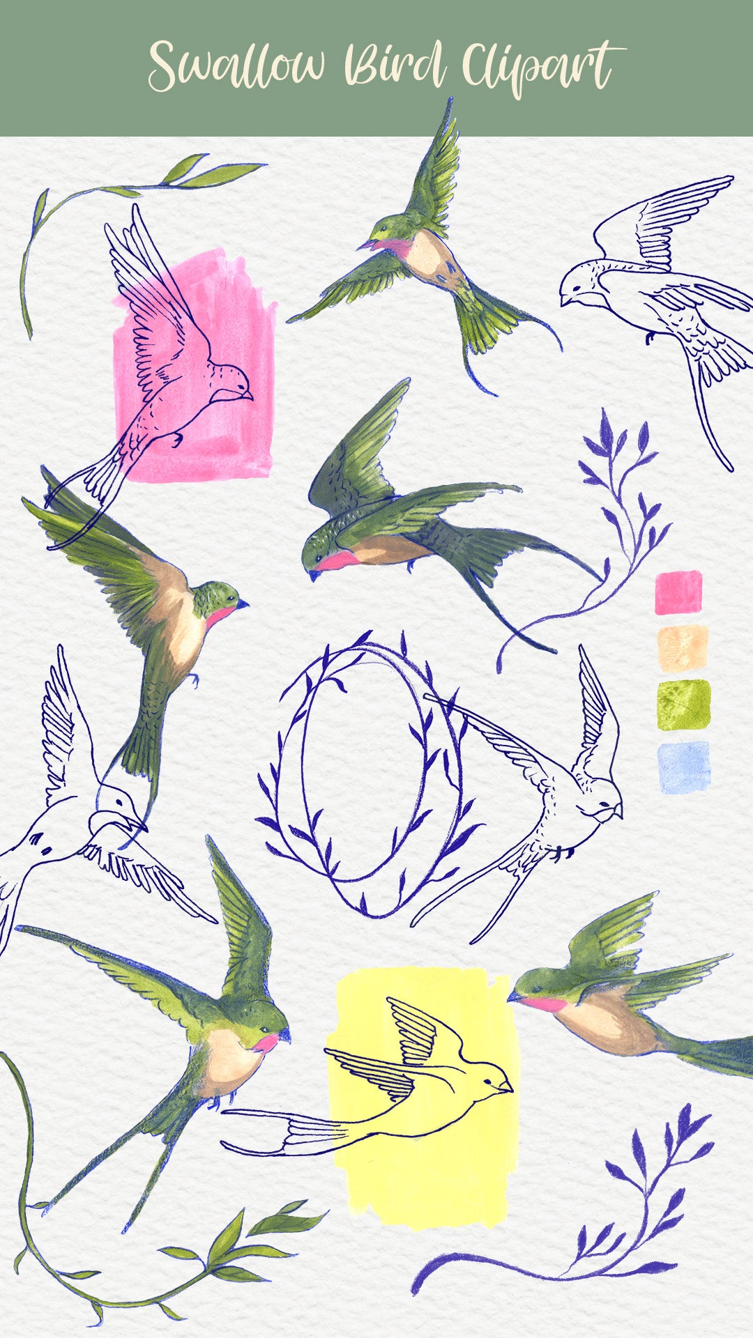 Hand drawn swallow bird clipart