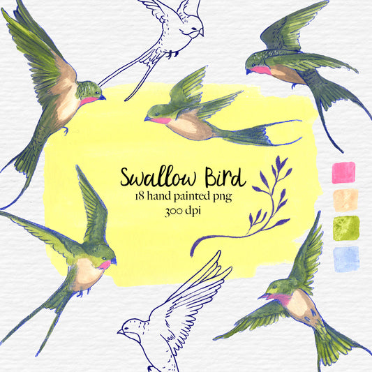 Hand drawn swallow bird clipart