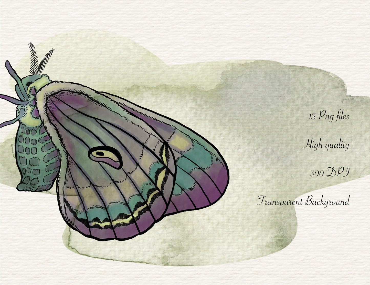 Colorful moth clipart, 13 png files, INSTANT DOWNLOAD