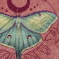Luna Moon Moth – Digital Art Print | Celestial Insect Illustration with Crescent Moon | Available in 5x7, 8x10, 11x14