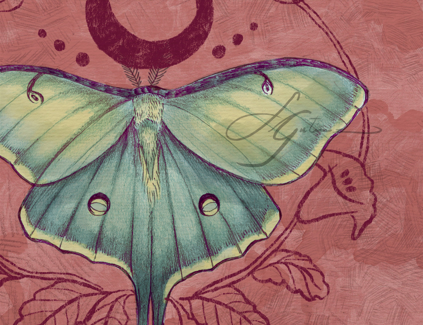 Luna Moon Moth – Digital Art Print | Celestial Insect Illustration with Crescent Moon | Available in 5x7, 8x10, 11x14
