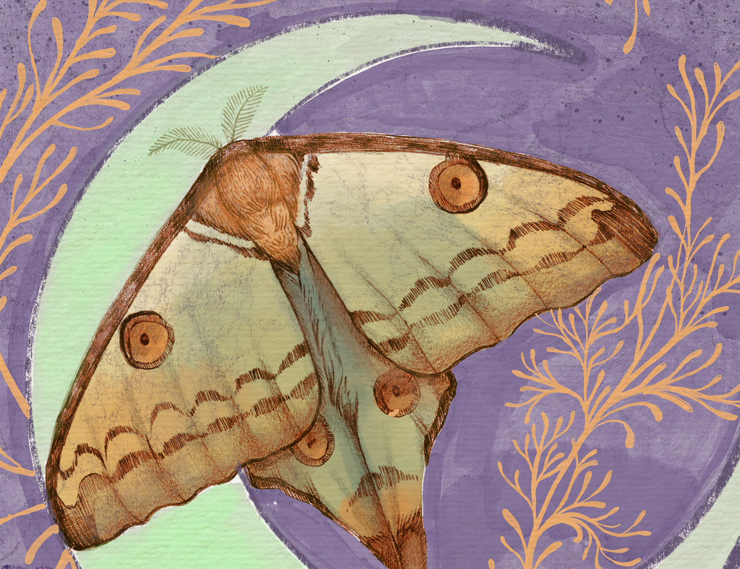 Lunar Comet Moth– Digital Art Print | Mystical Insect & Crescent Moon Wall Decor | Available in 5x7, 8x10, 11x14