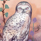 Snowy Owl Watcher – Digital Art Print | Mystical Owl Illustration with Sunset Tones | Available in 5x7, 8x10, 11x14