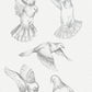 Hand drawn dove clipart