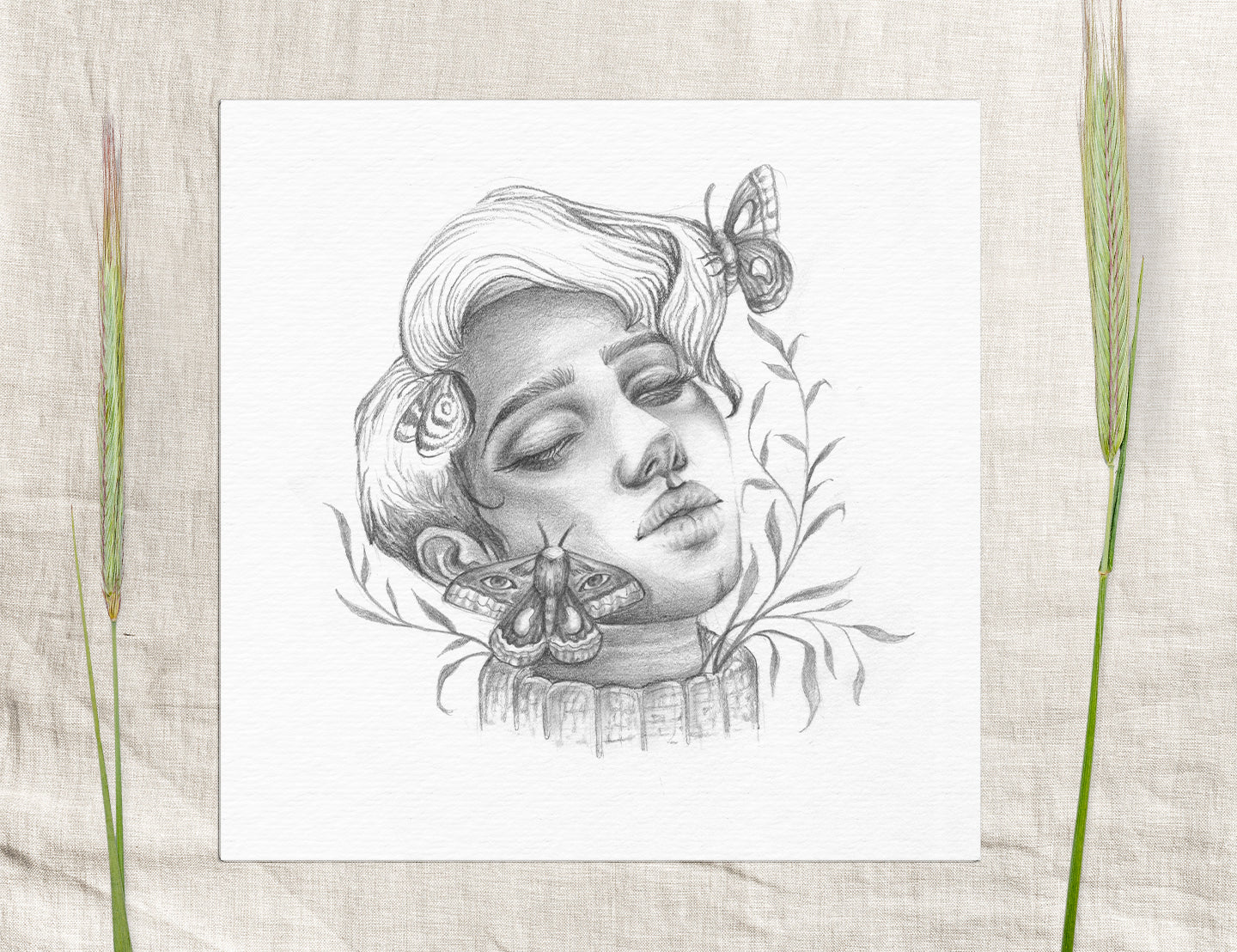 Some woman are more moth than butterfly- Graphite pencil