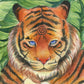 The tiger- Watercolour painting 8x8