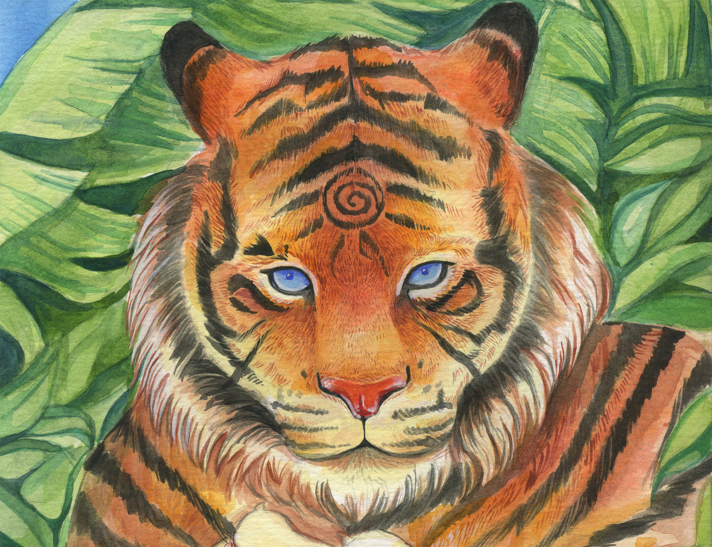 The tiger- Watercolour painting 8x8