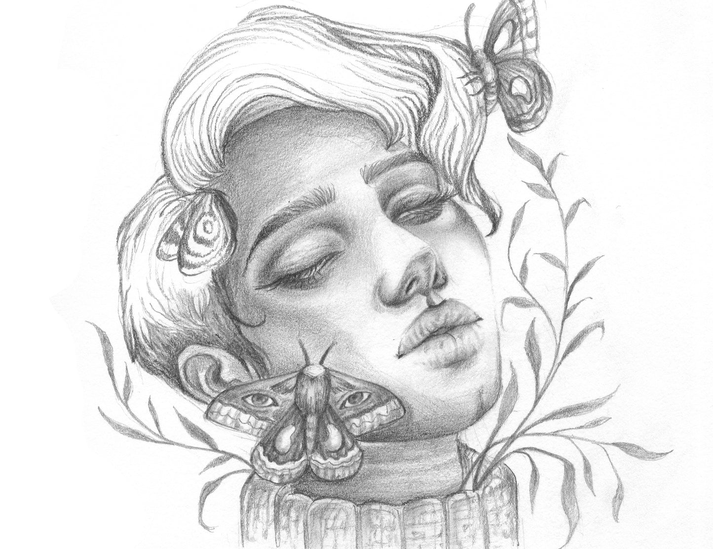 Some woman are more moth than butterfly- Graphite pencil